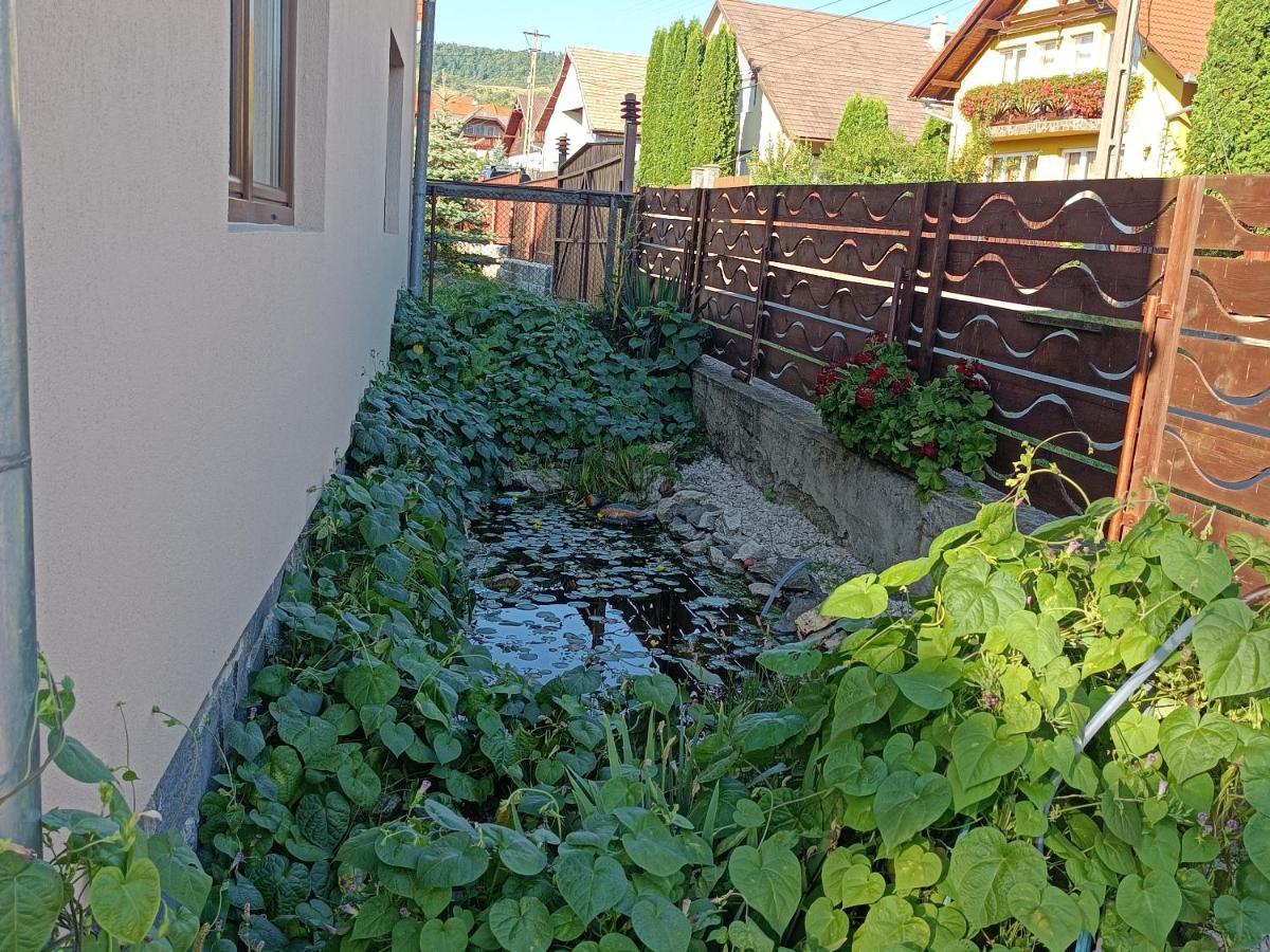 Nárcisz B&B Corund (Harghita) Exterior foto