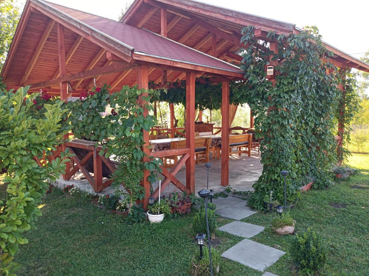 Nárcisz B&B Corund (Harghita) Exterior foto