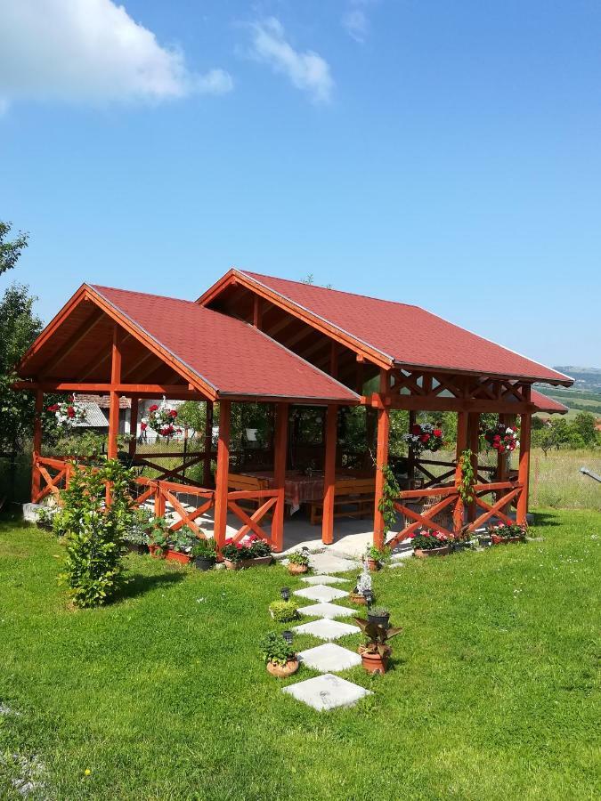 Nárcisz B&B Corund (Harghita) Exterior foto